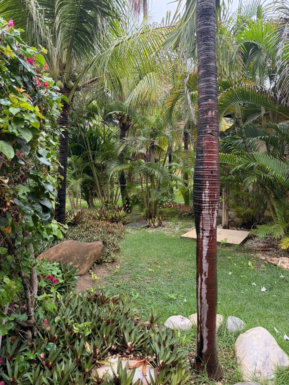 Residencia con cuatro suites y 215 m² en Guajiru — 11