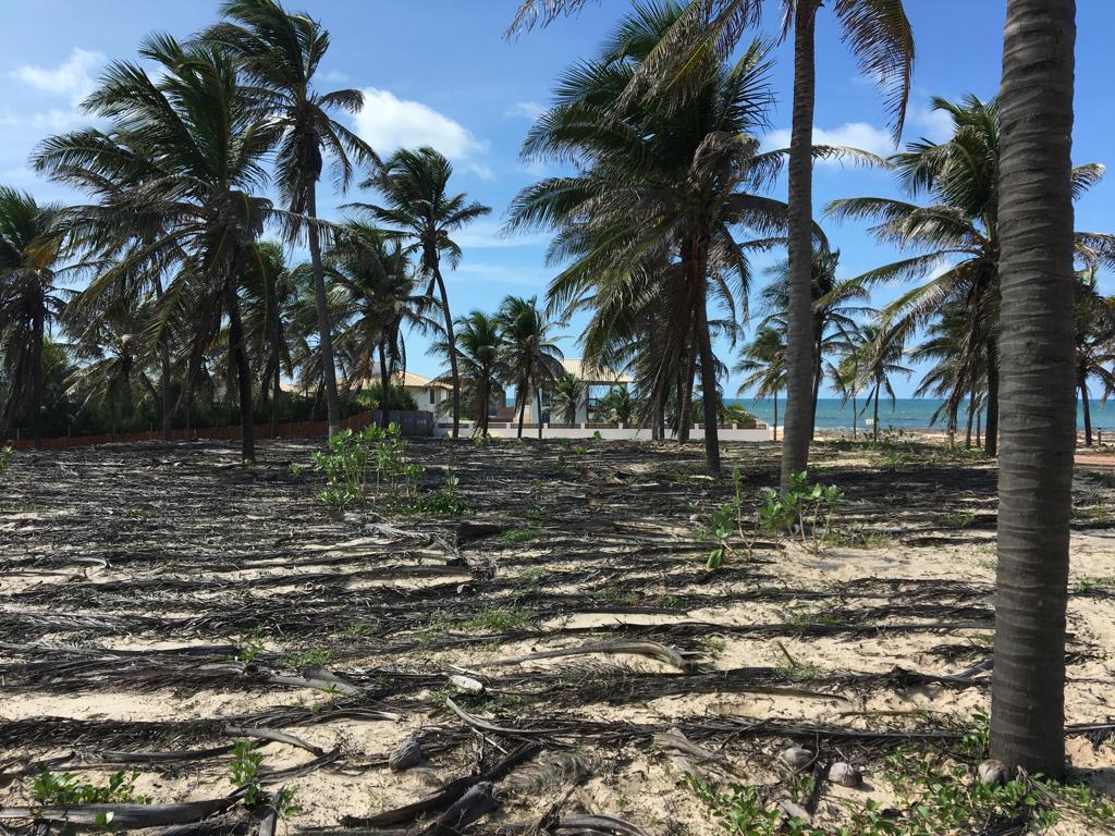 Terreno com vista para o mar em Guajiru — 9